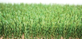 DOMO CHAMPION S PRO 40