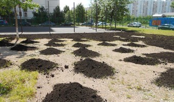Также можете быть уверены, что мы произведем на площадке и прилегающей территории все необходимые мероприятия по их благоустройству.