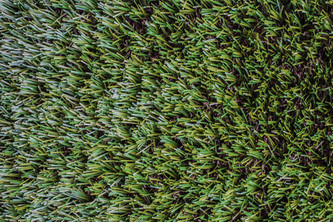 Искусственная трава JUTAgrass Monaco