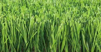 Искусственная трава Nature D3 12