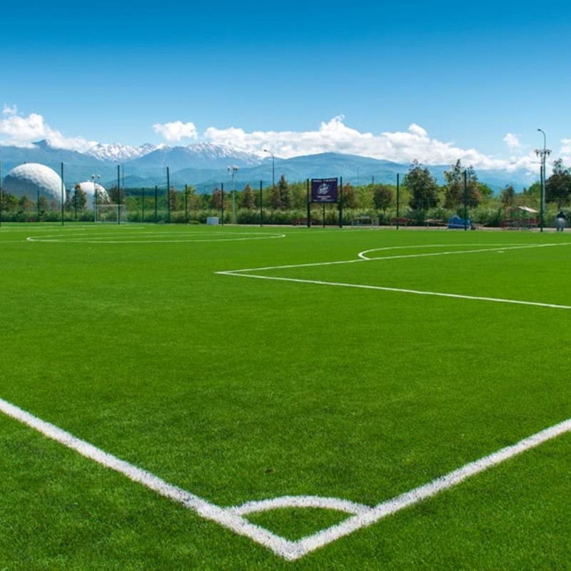 Спортивные поля