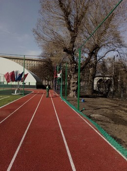 Строительство беговых дорожек