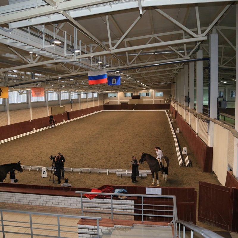 Строительство комплексов и клубов для конного спорта