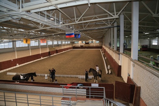 Строительство комплексов и клубов для конного спорта