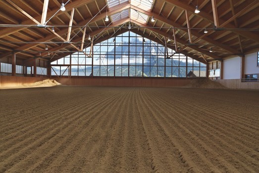 Строительство комплексов и клубов для конного спорта